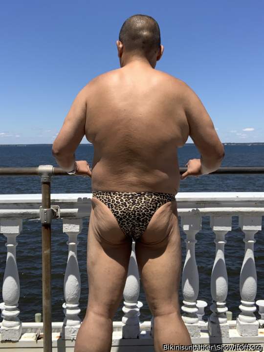 Photo of a lizard from Bikinisunbather