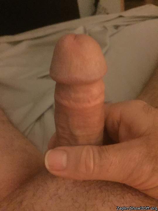 Great looking cock