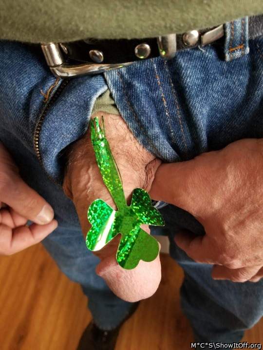 Photo of a cavalier from M*C*S