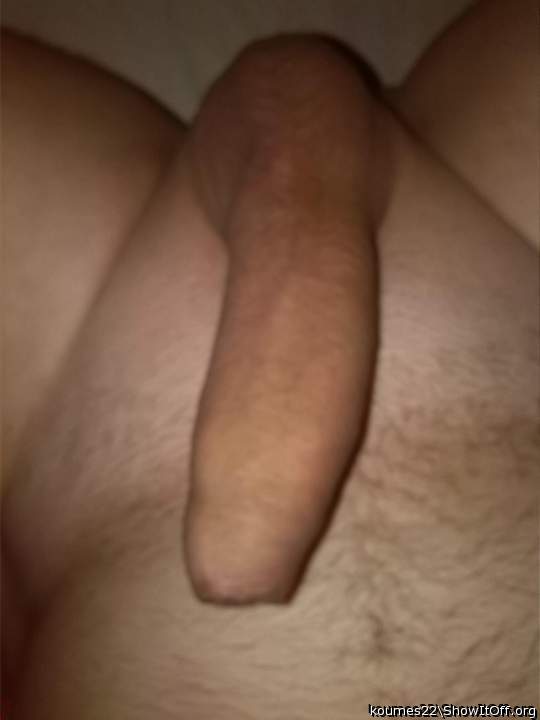 Photo of a cavalier from koumes22