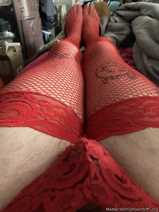 Adult image from MasterTelm