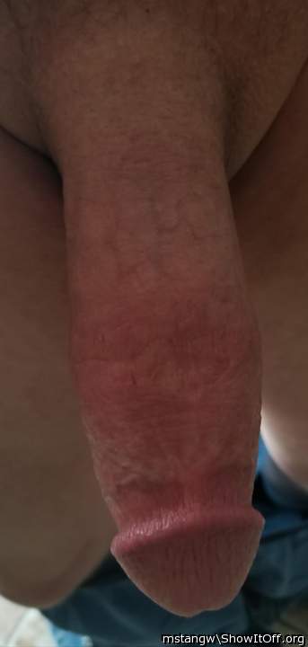 Photo of a penis from mstangw