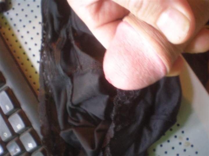 Photo of a bat from botanic