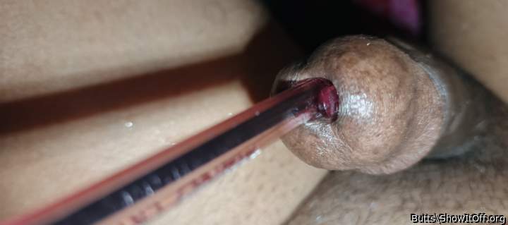 Photo of a cock from Butts