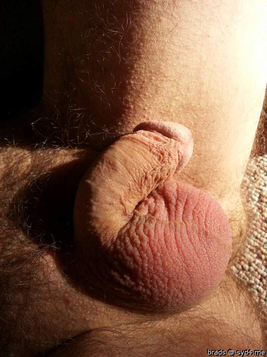 Photo of a bat from brads