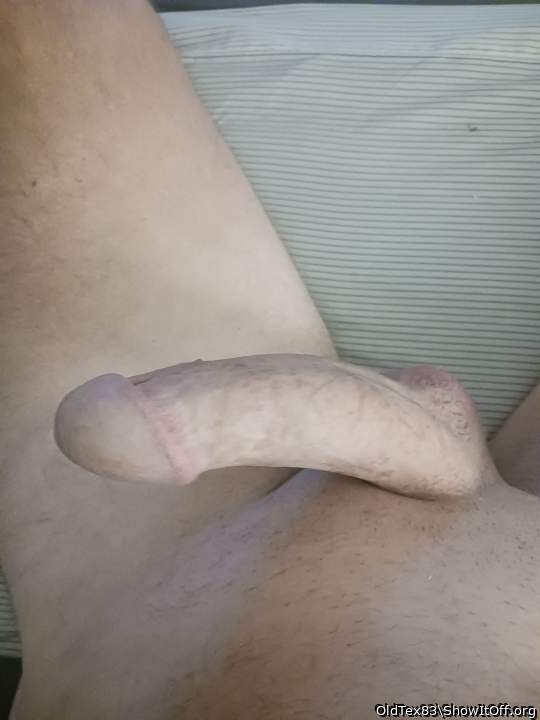 Photo of a wiener from OldTex83