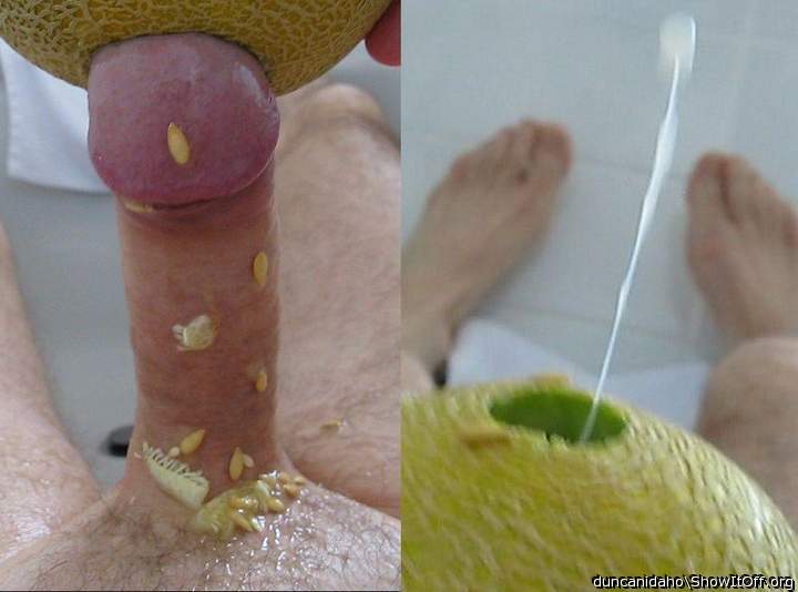 skwirting through a hole in a galia melon