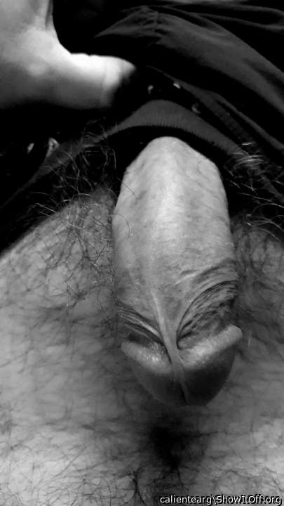 Photo of a horn from calientearg