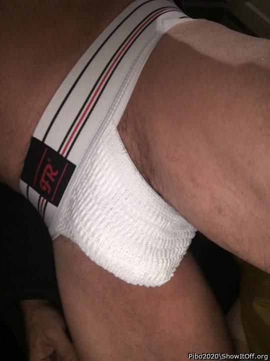 Photo of a third leg from Pibo2020