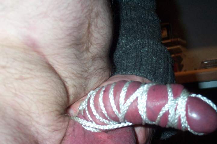Photo of a horn from cammerremscheid