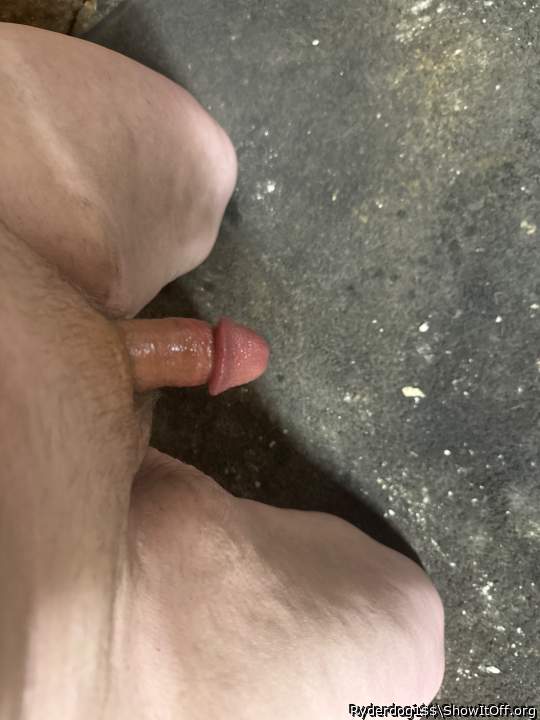 Photo of a dick from Ryderdog1$$