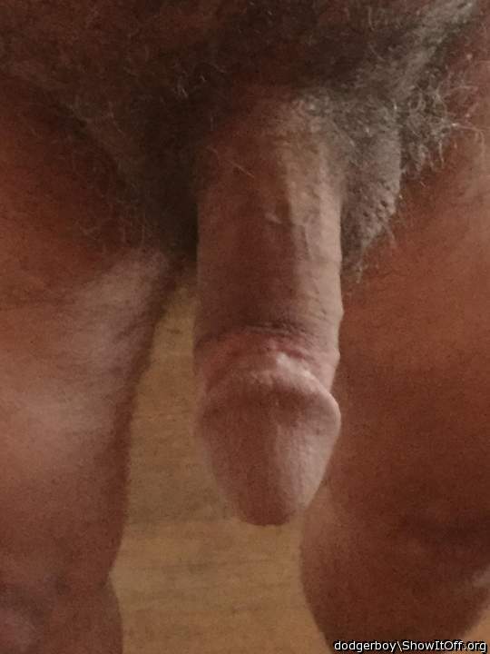 Photo of a short leg from dodgerboy