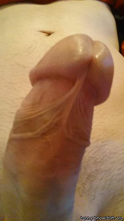 Photo of a middle leg from Funny