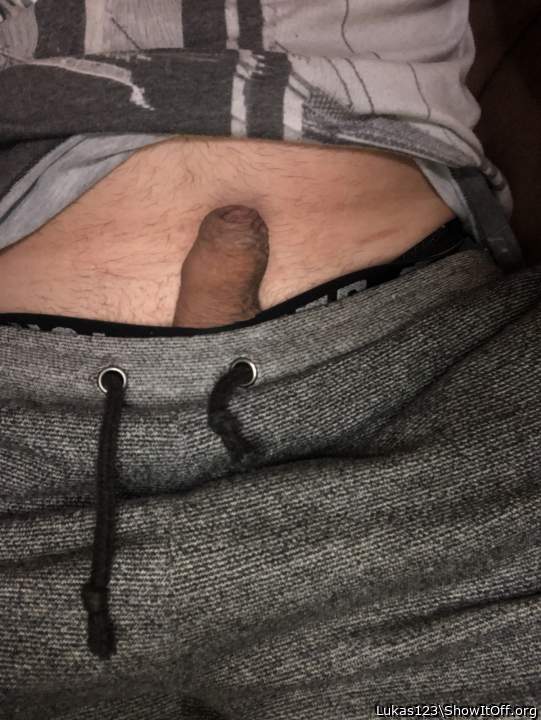 Photo of a weasel from Lukas123