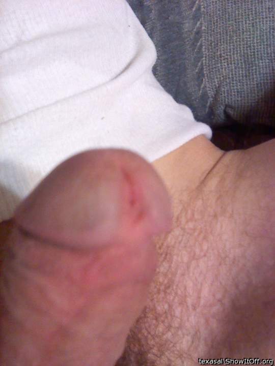 Photo of a horn from texasal