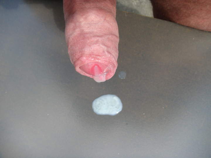 Photo of a sausage from sivad666