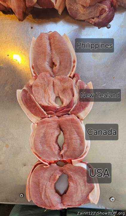 All vaginas look disgusting in general lol anyone agree?