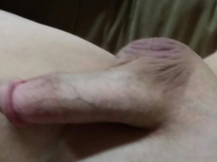 Photo of a purple headed monster from fish4free