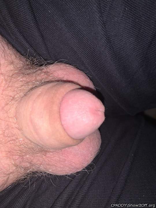 What do you wanna do with him?