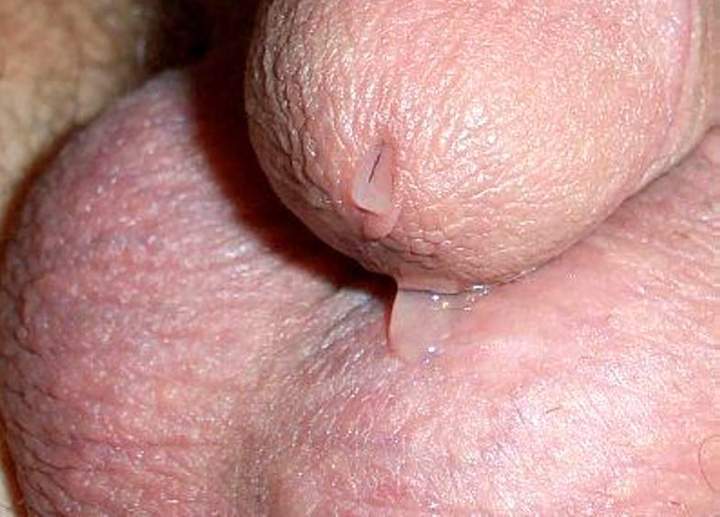 Photo of a pecker from lilsoftee