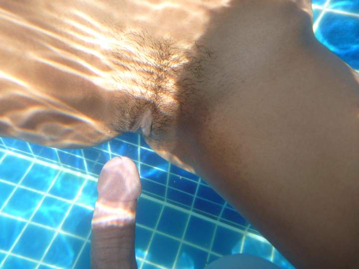 cock shark