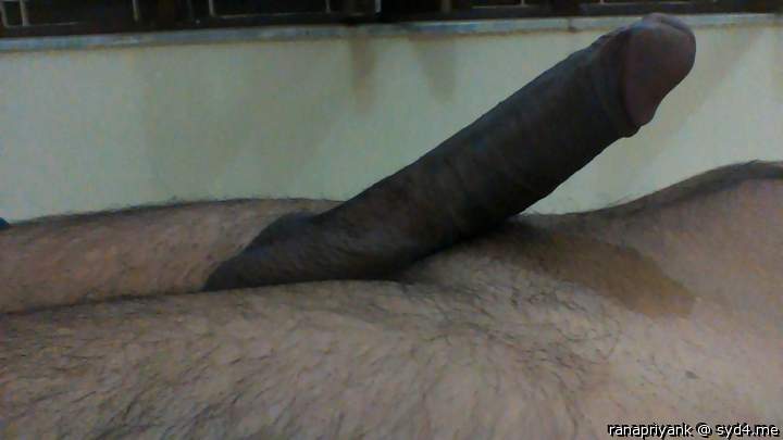 Photo of a horn from ranapriyank