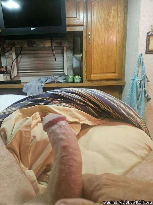 I'd love to suck this hot thick cock 