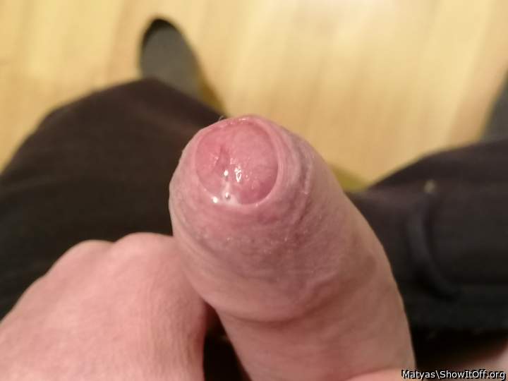 Photo of a horn from Matyas