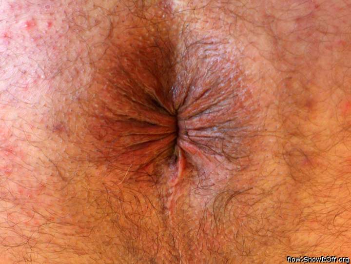 Anus