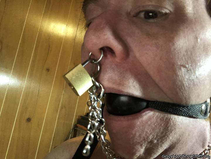 Photo of a power tool from Gingy4got