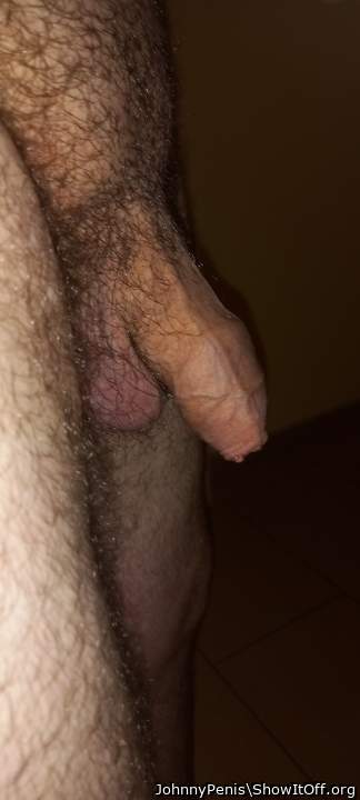 Photo of a pocket rocket from JohnnyPenis