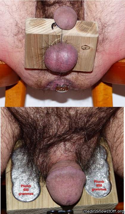 Testicles Photo from medir