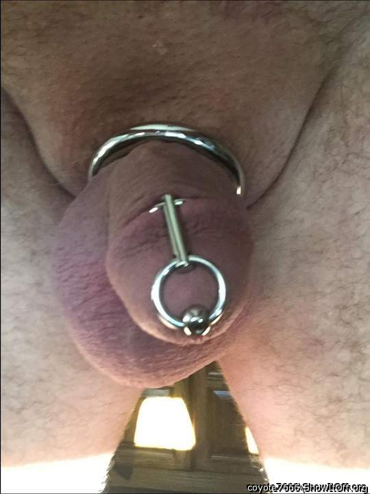 My new cock plug.