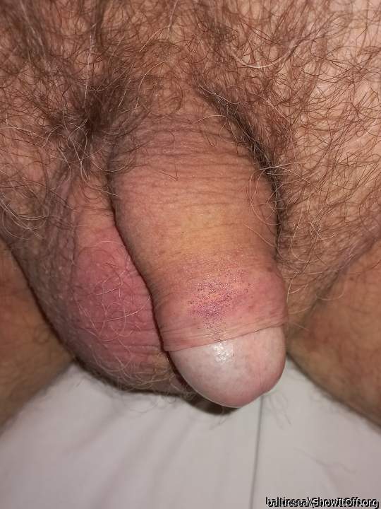 Photo of a penile from balticsea