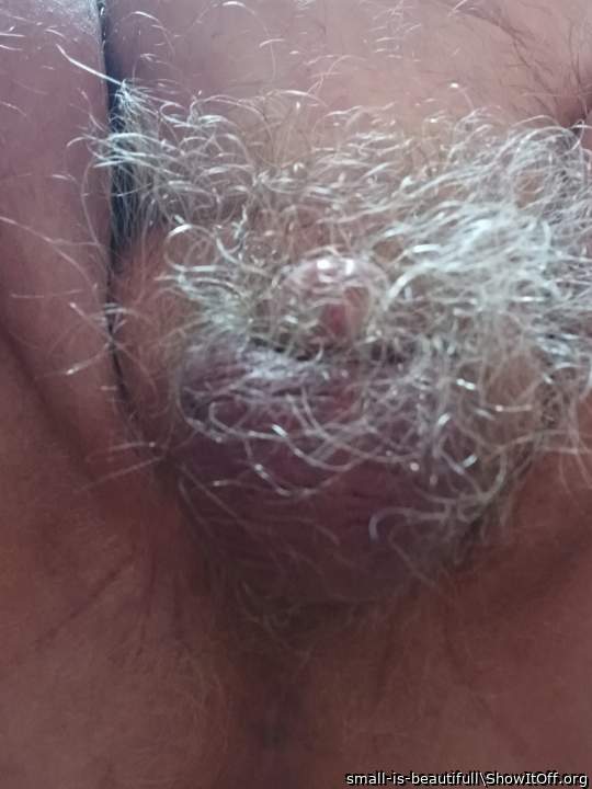 can you find my tiny penis in the large grey bush?