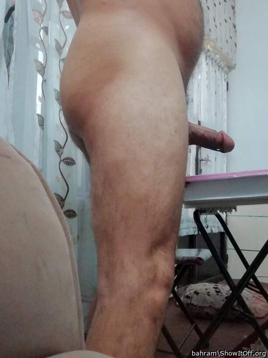 Photo of a cock from bahram