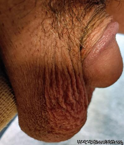 Photo of a cock from M*C*S