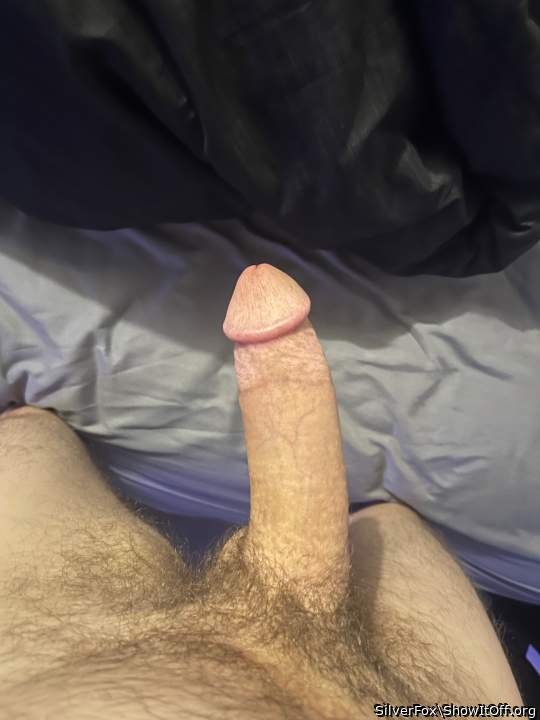 Photo of a horn from SilverFox