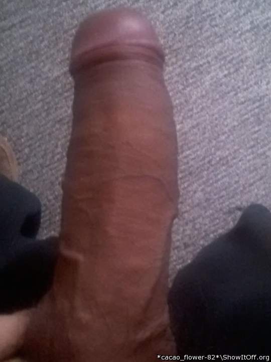 turkey leg 2014