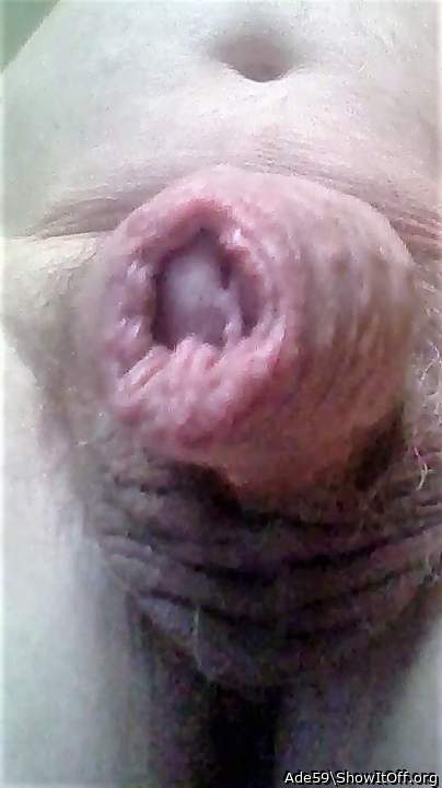 Photo of a snake from Ade59