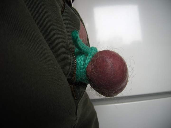 Testicles Photo from greenbelt