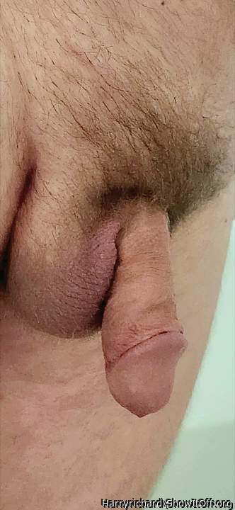 Photo of a sausage from Harryrichard