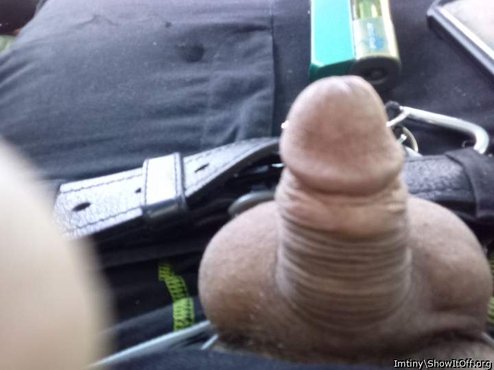 Adult image from Imtiny