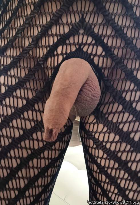Photo of a schlong from hotStefan36