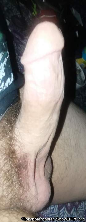 Photo of a pecker from gloryholemaster