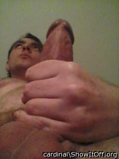 Adult image from cardinal
