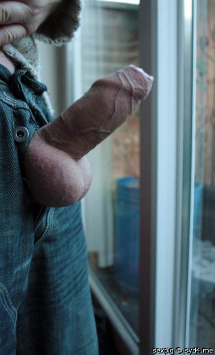 Photo of a third leg from sexpig