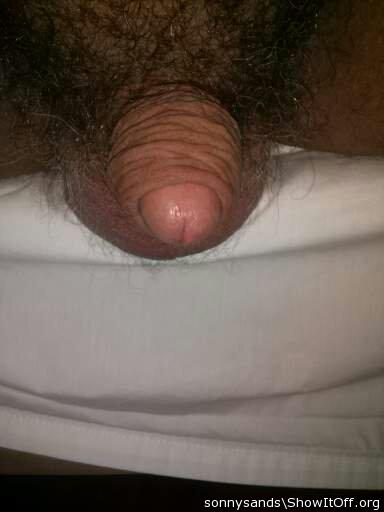 Photo of a horn from sonnysands
