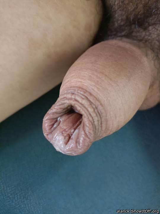 Photo of a wiener from alanck