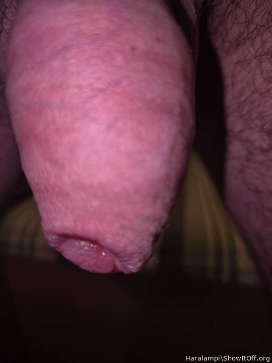 Photo of a horn from Haralampi